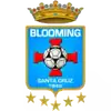 布鲁明